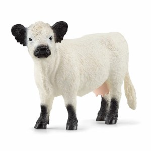 Farm World 13960 - Galloway Ko