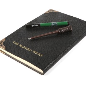 Tom Riddle's Dagbok, Penna och Stav