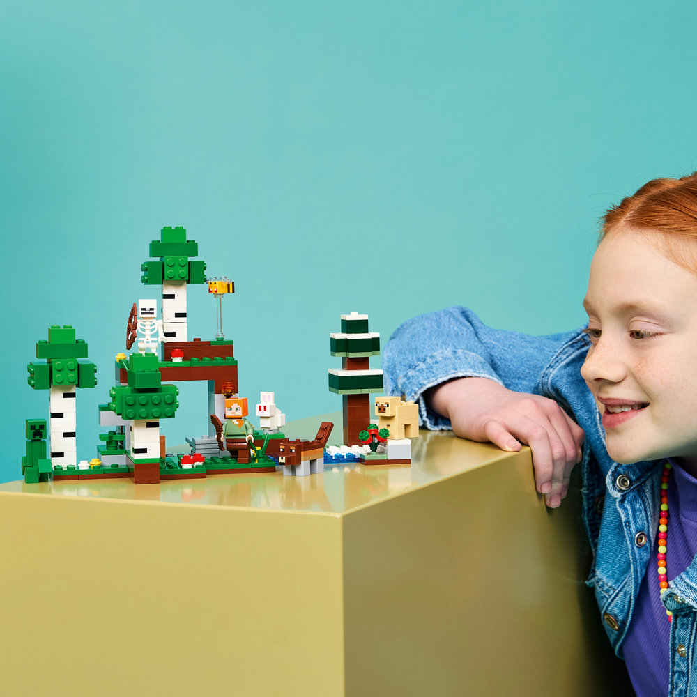 LEGO Minecraft 21593 Första nattens äventyr - Bild 4